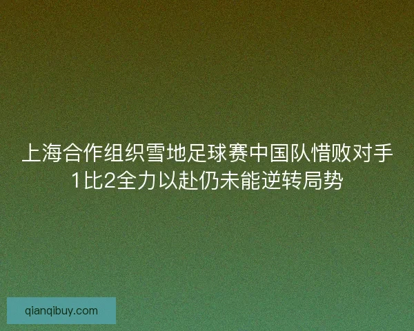 上海合作组织雪地足球赛中国队惜败对手1比2全力以赴仍未能逆转局势
